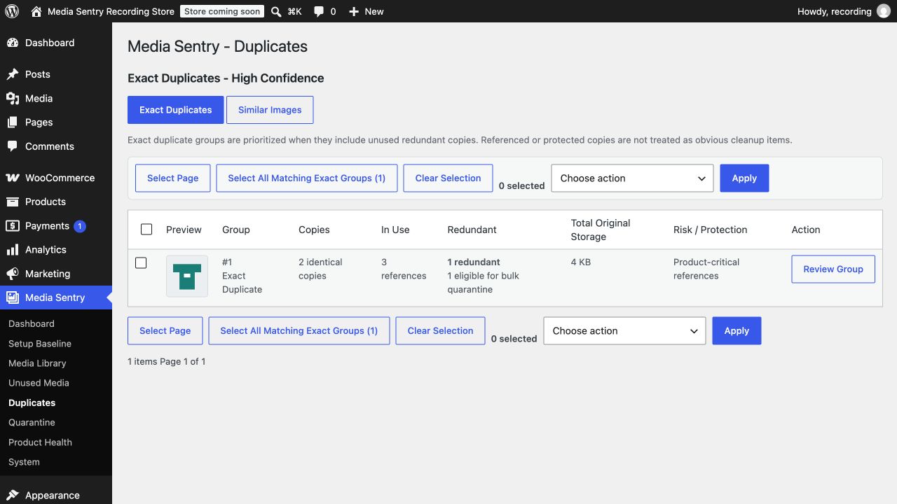 Media Sentry Exact Duplicates screen with synthetic demo data: two identical copies, three references, one redundant copy, and total original storage